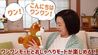 音声認識ぬいぐるみ 【しばいぬコウタ】自己紹介動画