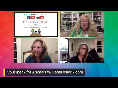 Do our animals go to heaven? TAMI HENDRIX SoulSpeak For Animals