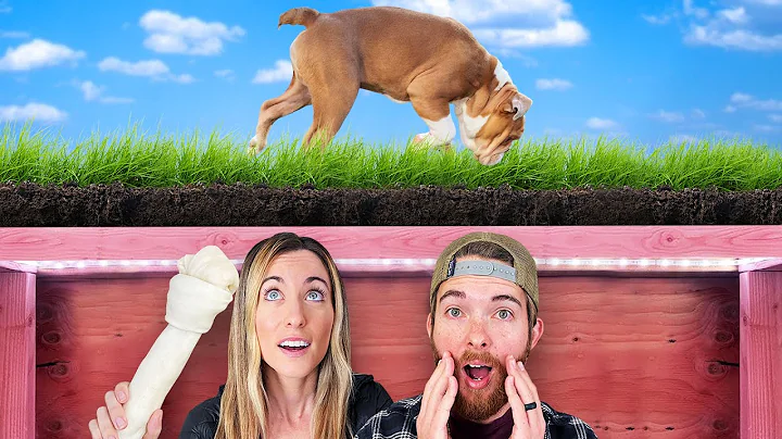 Can our Puppy Find us in an Underground Bunker?