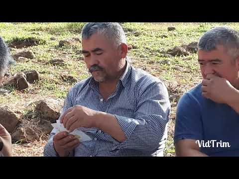 Askalanlشمس الدین مسرور کابل جان در گرفت