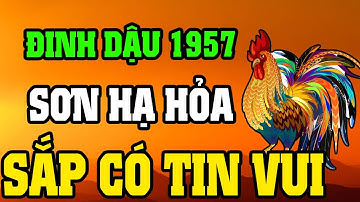 Tuổi Đinh Dậu 1957 Là Người Có Phúc Có Phần, Về Già Hưởng Lộc Tổ Tiên Nếu Biết Sớm 8 Điều Này