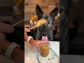 Caramel Apple Slices For Dogs Recipe