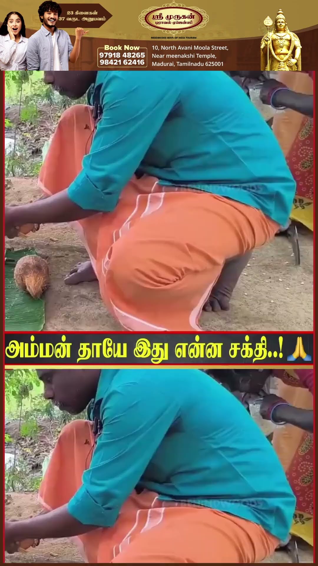 GOOSEBUMPS ஆக்கிய அதிசய மரம் ? ஊரே சிலிர்த்து வணங்கிய Video