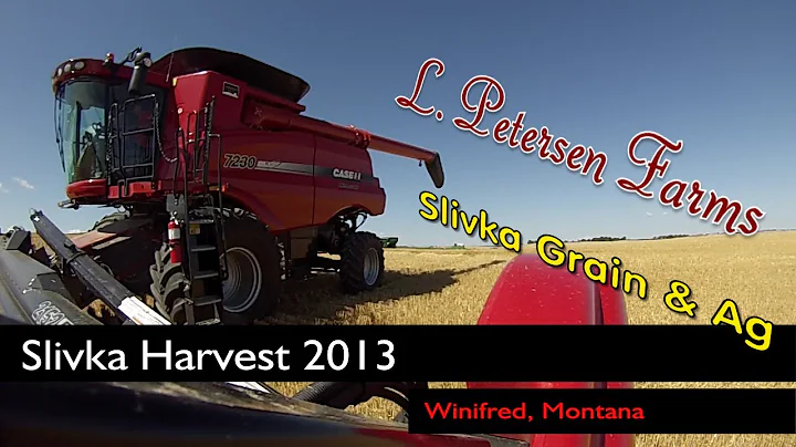 Slivka Harvest 2013 (Winifred, Montana)