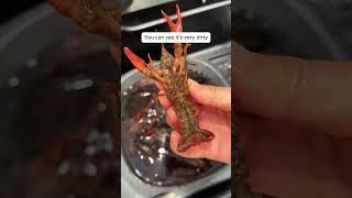 The 15-Minute Trick to Clean Crayfish Easily