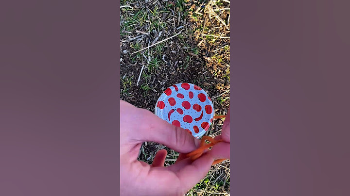 Genius Rope Trick: Lift and Carry Heavy Jars Effortlessly! #camping #life #bushcraft #survival