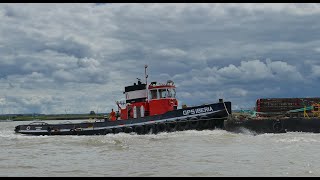 Snippets of ships and craft on the Thames 2019.(HD1080) with commentary.