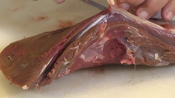 Removing and Preparing Backstrap sinew for beading and sewing Part 1