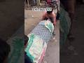 18 টাকা স্কয়ার ফিট বিএসআরএম গালভানাইজড তার ২৫ বছর ইস্থায়ীকাল  #bauandari #wirecutting #machine