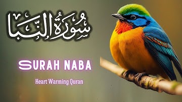Heal your Soul - Surah An-Naba (the tidings) سورة النبأ
