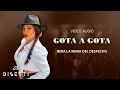 BERA La Reina del Despecho - Gota A Gota (Audio) | Musica Popular