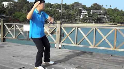Tai Chi for Arthritis 1 n 2 Taichi for Health,By J...