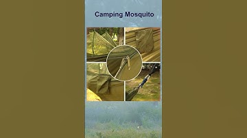 Camping Mosquito Nets Hammock  #shotrs #Hammock #shop