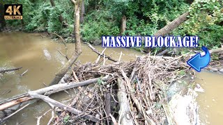 Removing a Beaver Dam from the discharge side of a large culvert