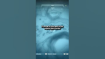 Did You Know That You Could Find This Animal In Metal Gear Solid V?