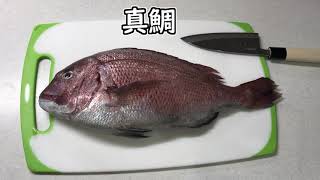 【衝撃】完全素人が真鯛をさばいた結果　Amateur tried to judge red sea bream