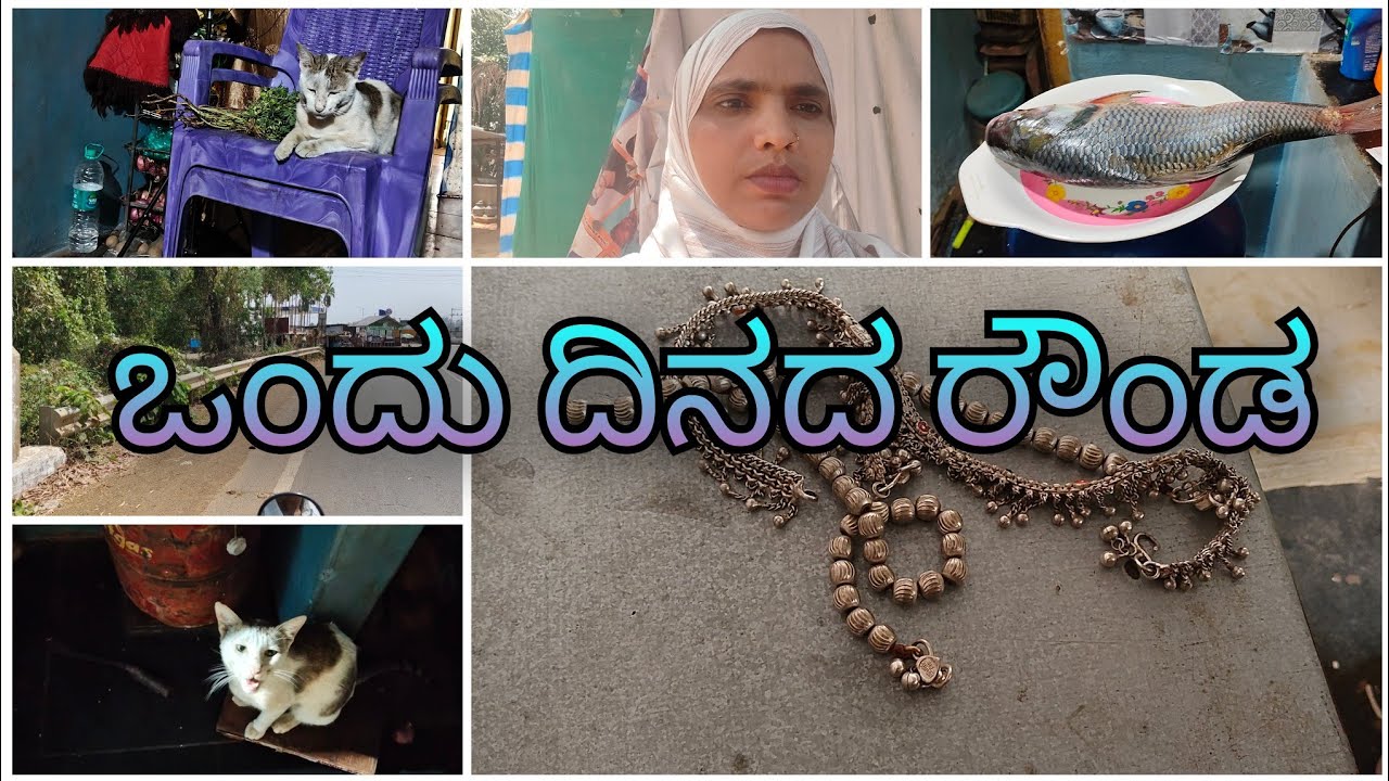 ನಾನು ಒಂದು ಡೇ ರೌಂಡಿಗೆ ಹೋಗಿದ್ವಿ / ಬೆಳ್ಳಿ ಹೇಗೆ ಆಗುತ್ತೆ ನೋಡಿ ನನ್ನ ಕಾಲಿನಲ್ಲಿ 