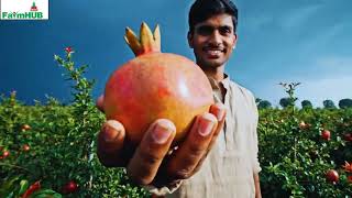 Smart Solution from Zuari FarmHub