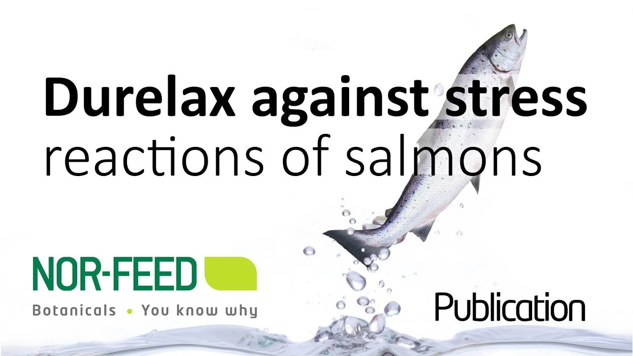 Nor Feed Natural Feed Additives For Animal Welfare Nor Feed Natural Feed Additives For Animal Welfare