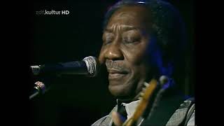 Muddy Waters - Baby you don&#39;t have to go -- Live at the Checkerboard Lounge 1981