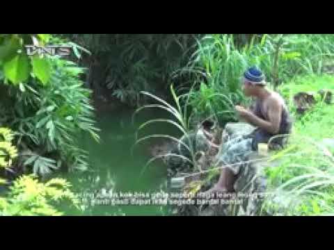 Spesial story' wa \