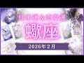 【蠍座】さそり座🌈2026年2月💖の運勢✨✨✨仕事とお金・恋愛・パートナーシップ［未来視タロット占い］