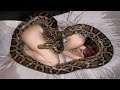 She sleeps with her snake each night until her vet tells her the shocking truth