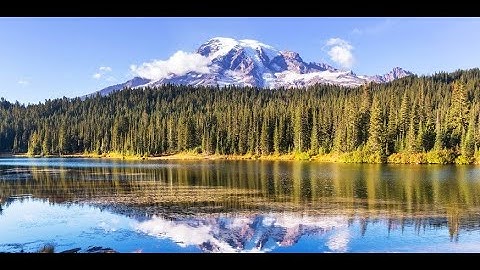 "The Trouble with Wilderness" by William Cronon