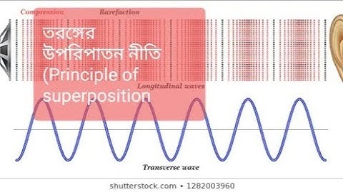 তরঙ্গের  উপরিপাতন নীতি (principle of wave superposition )