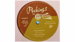 Tony Sexton - Africa Coming - 12&quot; - Peckings Records