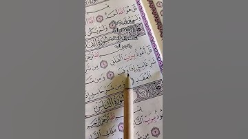 قل اعوذ برب الفلق... الشيخ محمد الفقيه.. سورة الفلق. #quran #قرآن #تلاوة_خاشعة #سورة_الفلق