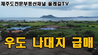 제주도의 섬 우도 나대지 399평 토지 급매물 제주도전문부동산-올레길TV-