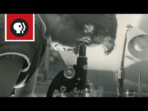 Video: Kapan Rosalind Franklin berkontribusi pada penemuan DNA?