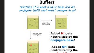 Buffers Notes AP