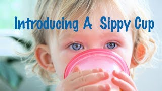 When to Introduce a Sippy Cup to Your Baby | CloudMom