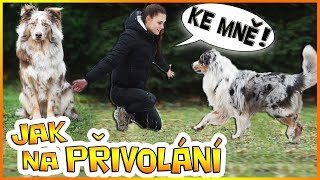 Jak naučit psa KE MNĚ - PŘIVOLÁNÍ jednoduše! | Výcvik psa