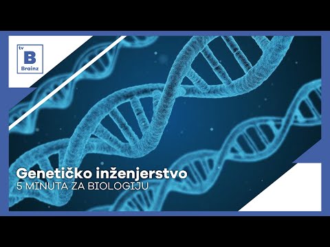 5 minuta za biologiju - Genetičko inženjerstvo