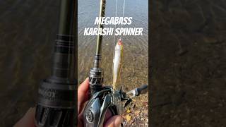 @MegabassAmerica Karashi Spinner #bassfishing #megabass #fishing #smallmouthbass #bass