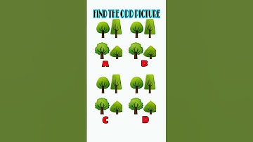 Challenge| memory test|   #brainteasers  #shorts  #challenge #findthedifference  #youtube #guess