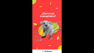 Qué Es Un Organismo Transgénico?