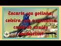 Encarte seu golinha/coleira com o autêntico canto do azulão nordestino.