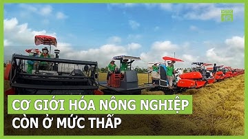 Cơ giới hóa nông nghiệp còn ở mức thấp | VTC16