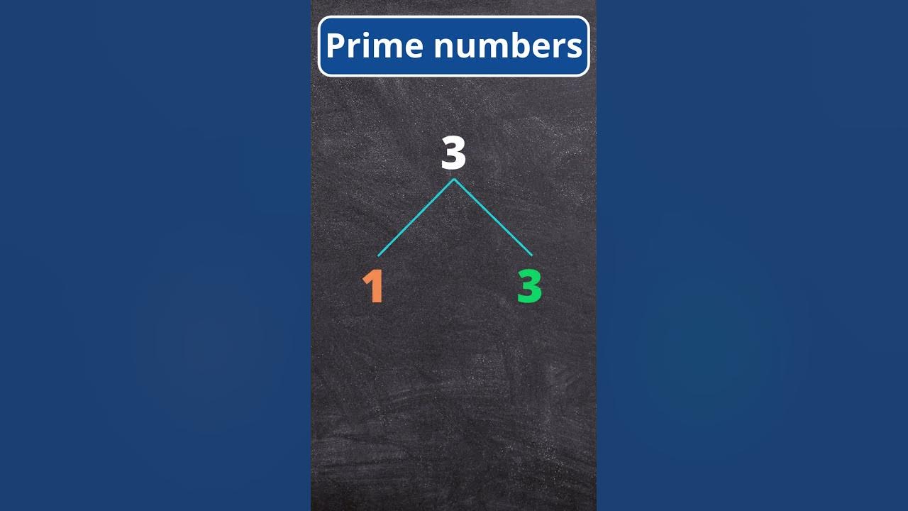 The first 5 prime numbers! - YouTube