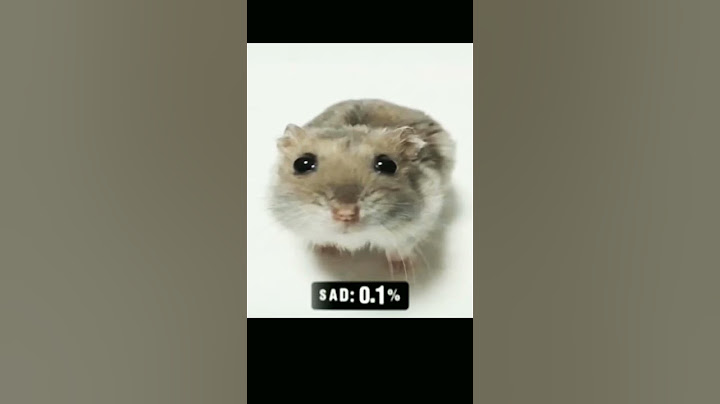 ЛЮБИМОТО МИ МЕМЕ!🐹 КОЕ Е ВАШЕТО?