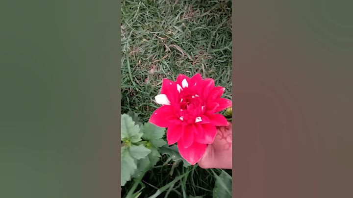 went to rose garden in kerala ❤️ 😍