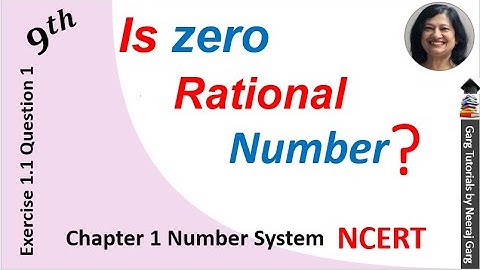 Number System Class 9 CBSE Ex 1.1 Q1 | Is zero a rational number can you write it in the form p/q