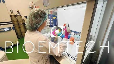 BIOEMTECH CRO Laboratories in action