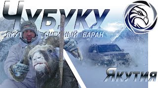 MOUNTAIN HUNTING FOR THE YAKUT SNOW SHEEP (2018)