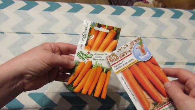 5 способов посеять морковь: надежные, проверенные методы