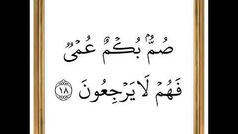 سورة البقرة من الاية 10 الى 20